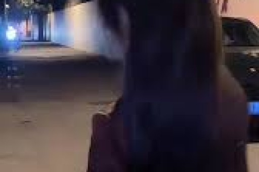 谢娜成都演唱会想看人数超35万艺人跨界为何引争议